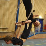 hoepel vogelnest (7)